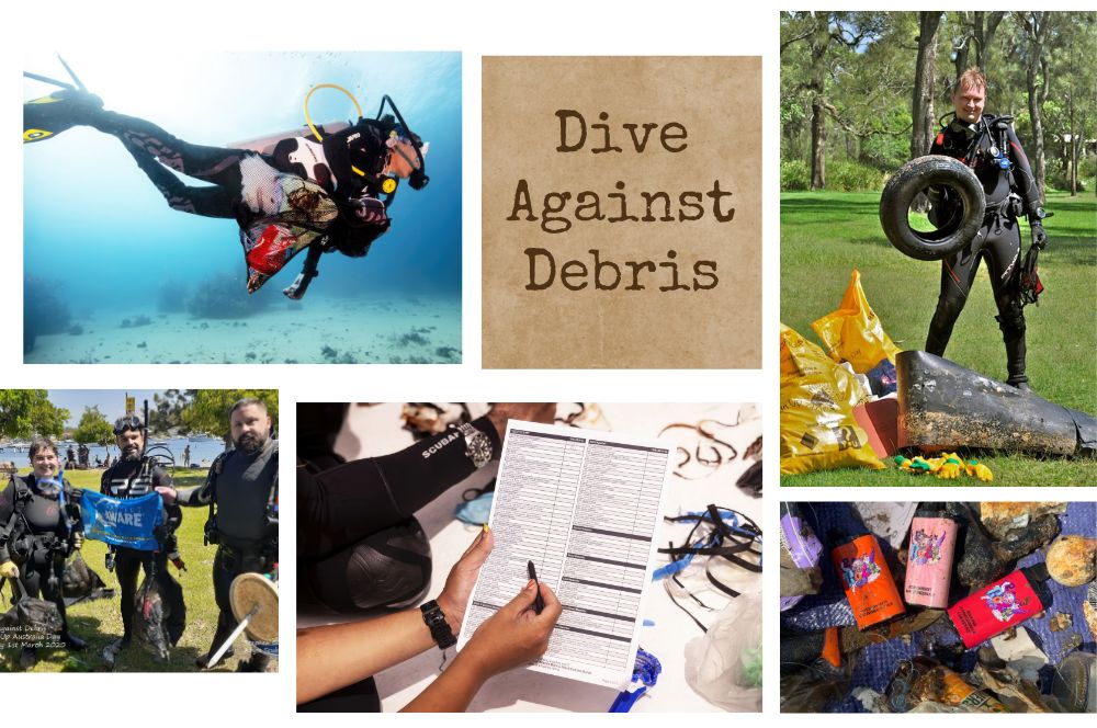 Join The Fight Against Marine Debris With The Dive Against Debris Project