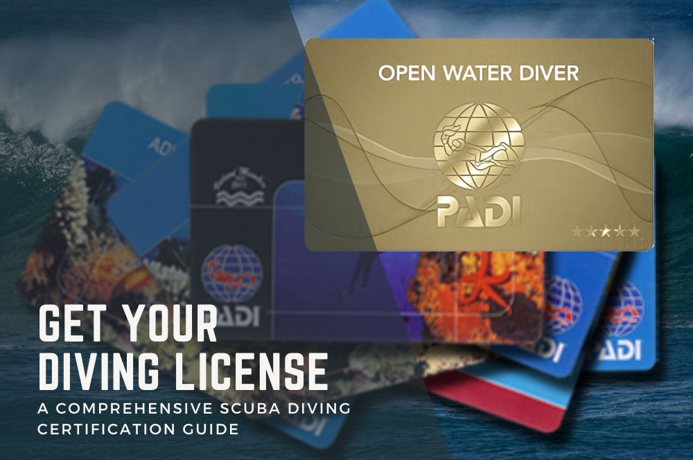 Diving-License.jpg