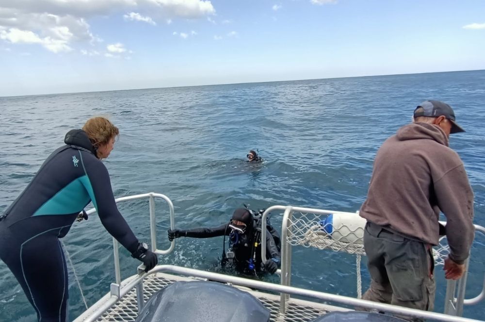 Marty’s Top 5 Tips For Sydney Boat Diving