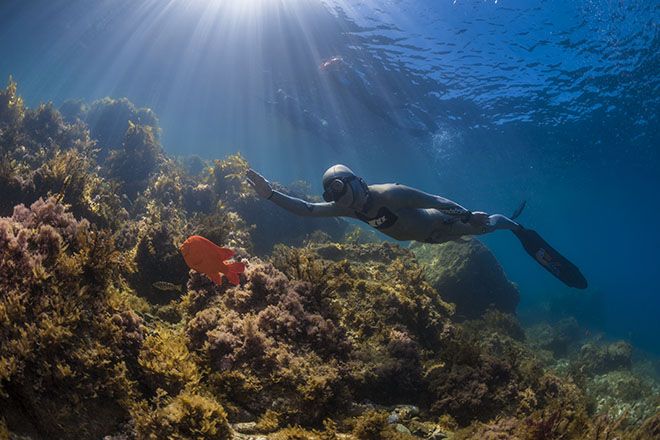 Freediving Questions Explained