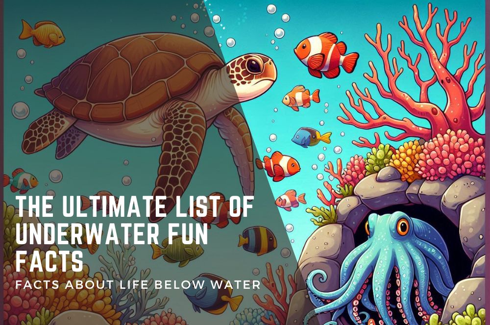 Discover The Mysteries Of The Deep: Top Fun Facts About Life Below Water