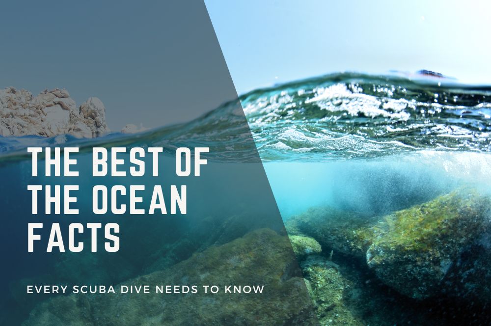 The Best Of The Ocean Facts Every Scuba Dive Needs To Know