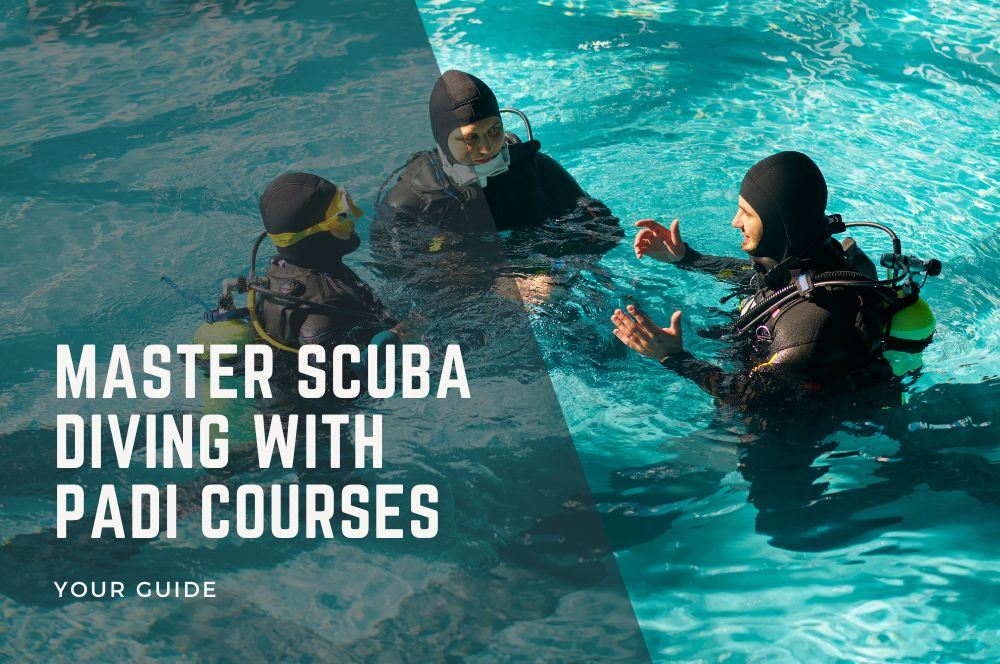 Master Scuba Diving With Padi Courses: Your Guide