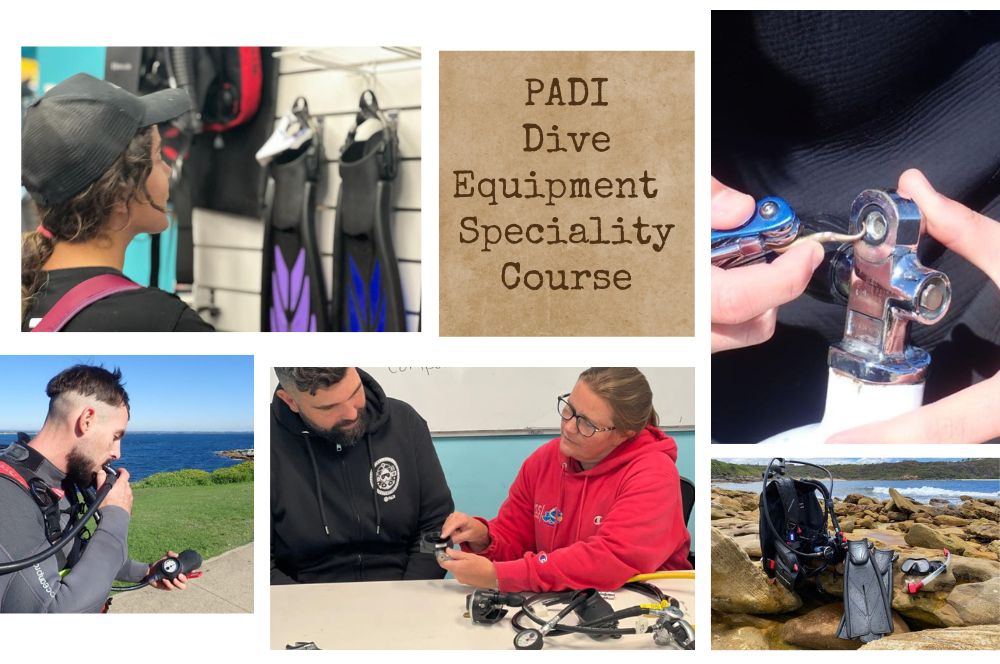 PADI-Equipment-Course.jpg