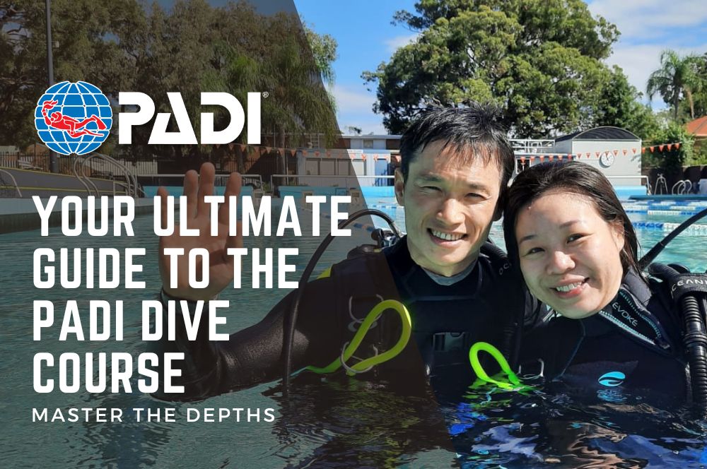 PADI-ultimate-guide.jpg