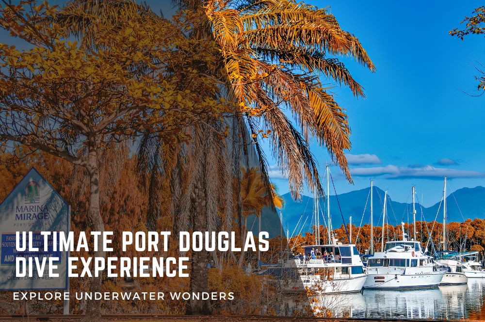 Port-douglas.jpg