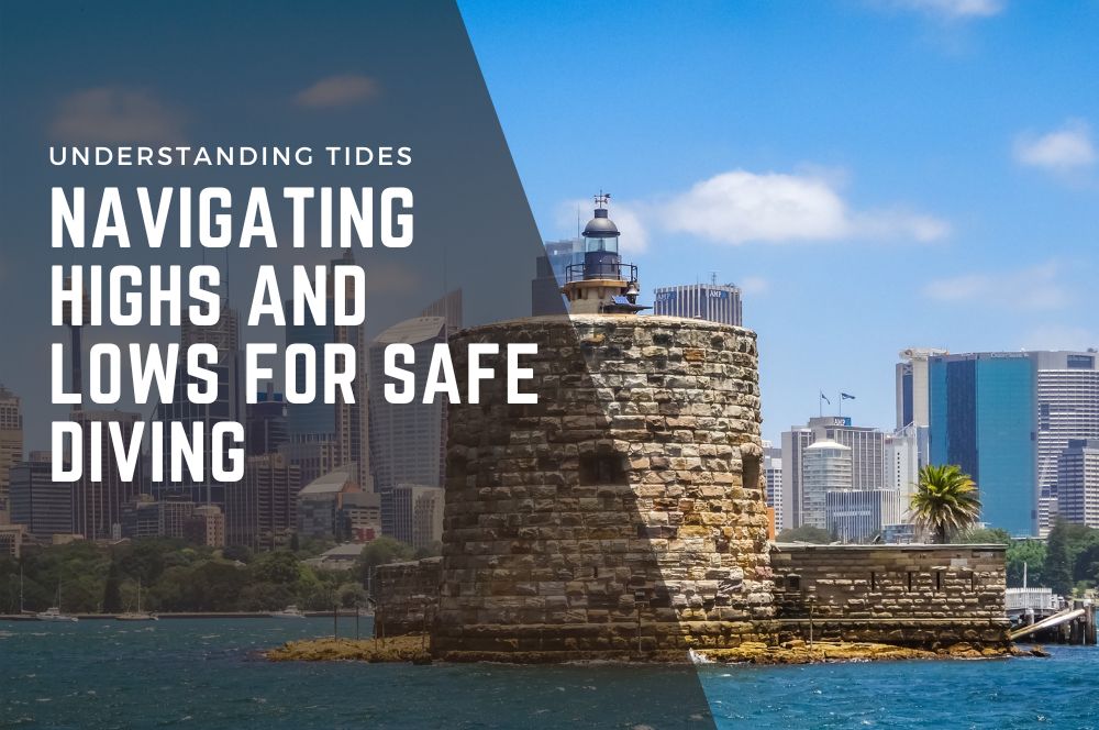 Sydney Diving Guide: Mastering Tides For Safe & Memorable Dives | Abyss Scuba