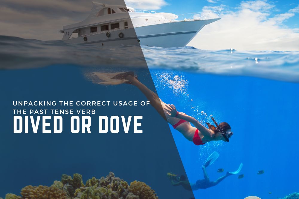 dove-dive.jpg