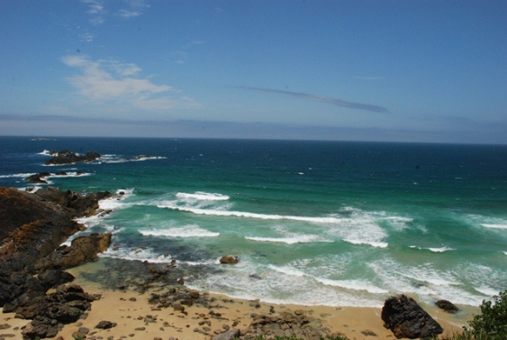 Diving Forster & Seal Rocks