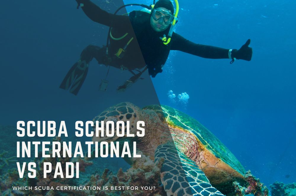 Scuba Schools International Vs Padi: Which Scuba Certification Is Best For You?