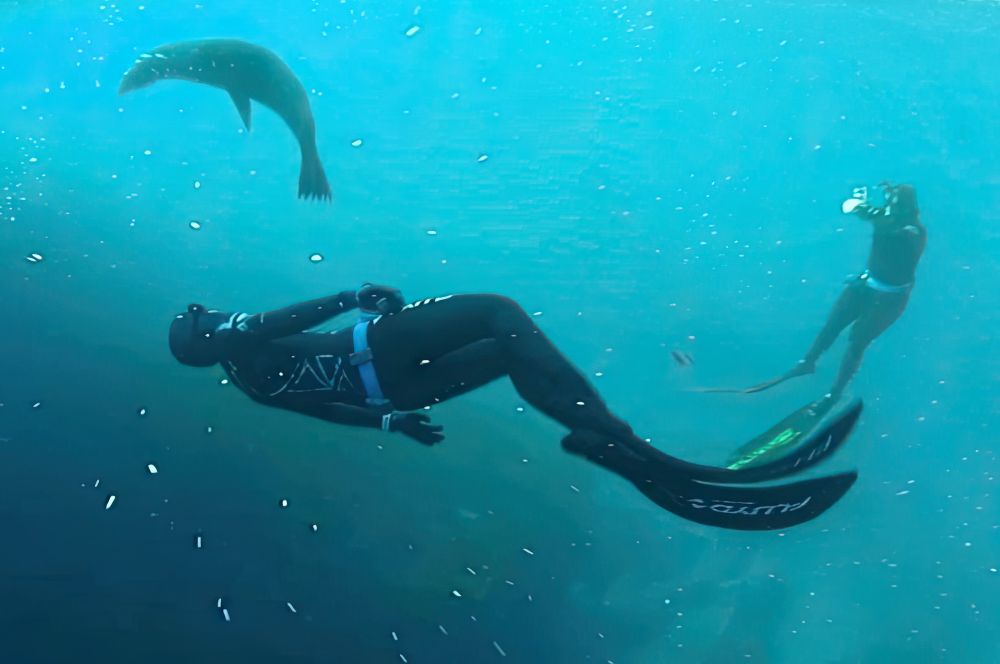 What Is Freediving?